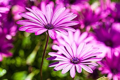 爆料称《最终幻想7：重制版》系列将结束PS5独占